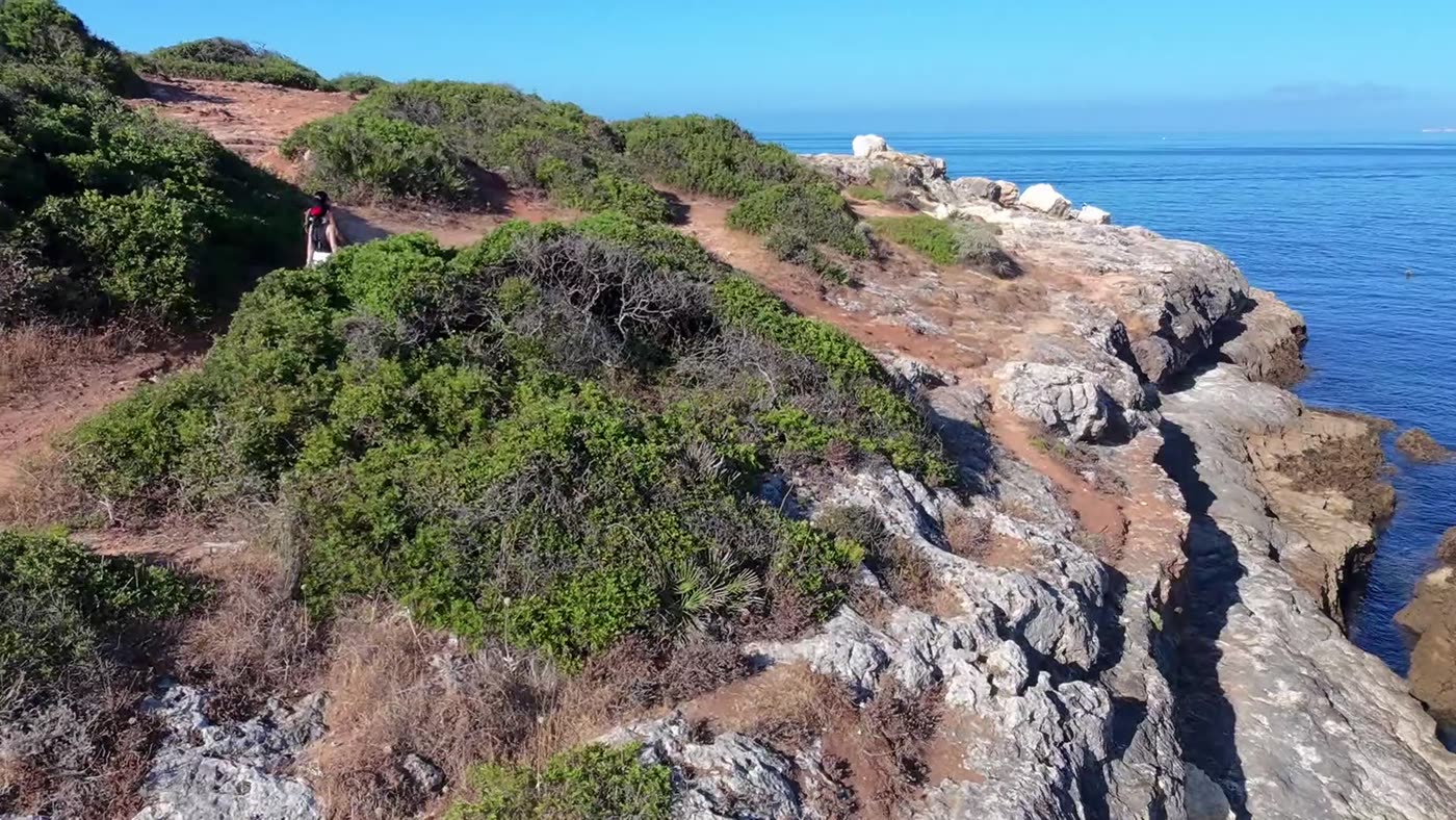 Trilho de mato verde à beira da falésia sobre o mar